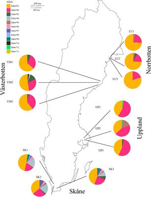 Major Histocompatibility Complex Variation and Haplotype Associated Survival in Response to Experimental Infection of Two Bd-GPL Strains Along a Latitudinal Gradient